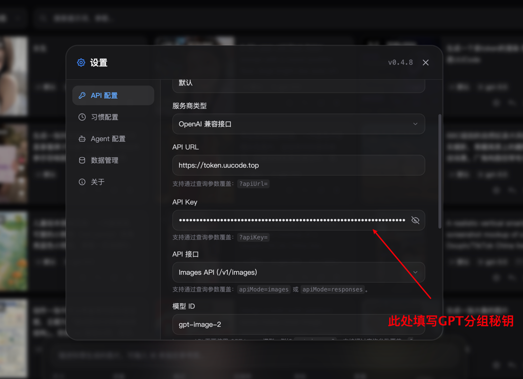 填写并保存 API Key