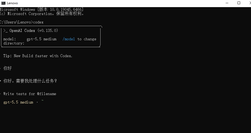 终端中使用 Codex