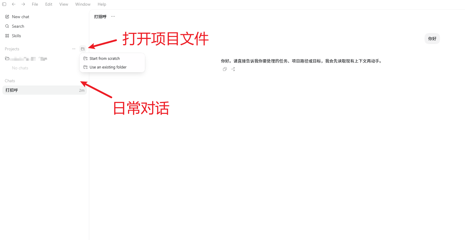 Codex 桌面端使用