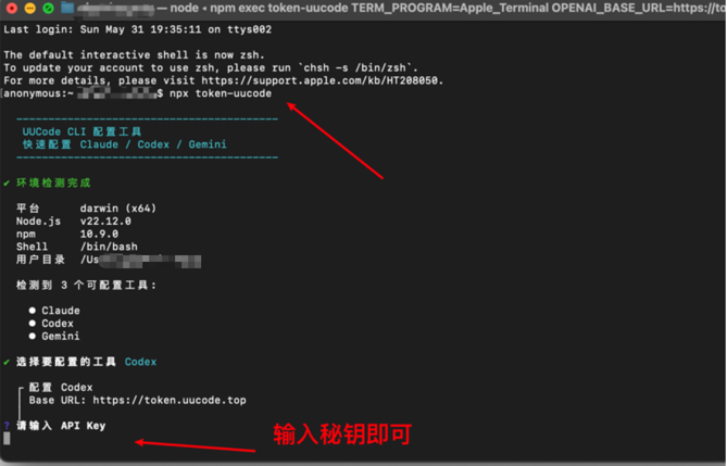 Mac 使用 Codex