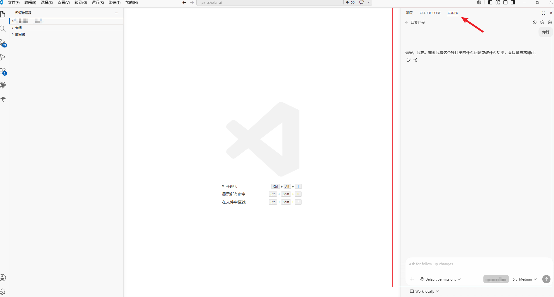 VS Code 使用 Codex
