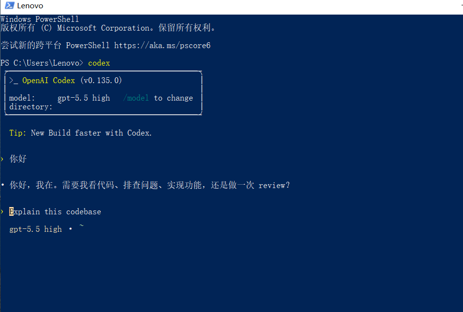 Windows 使用 Codex