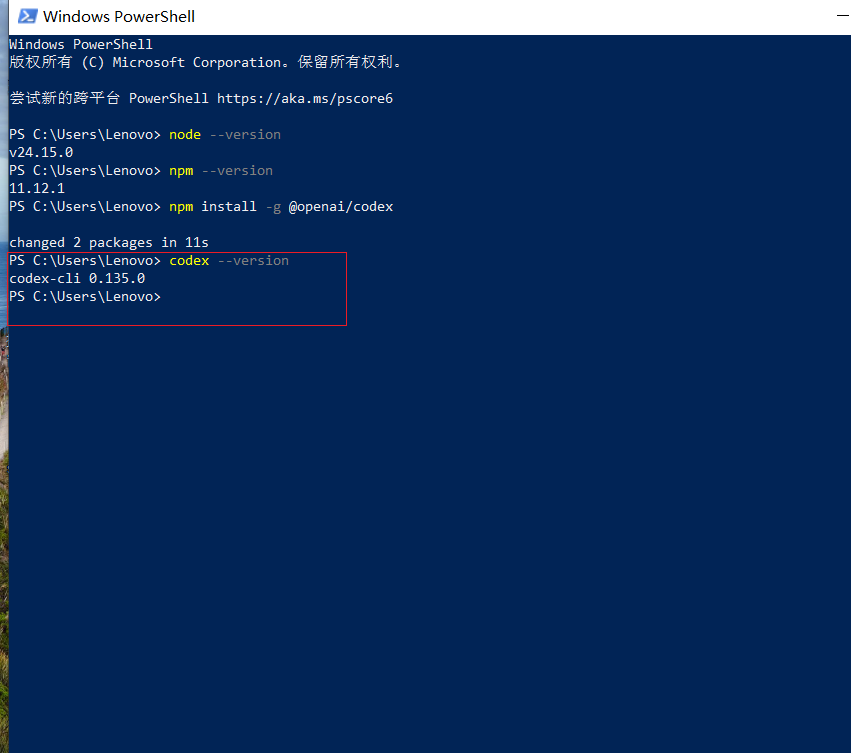 Windows 校验 Codex